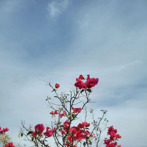Foto de portafolio 7